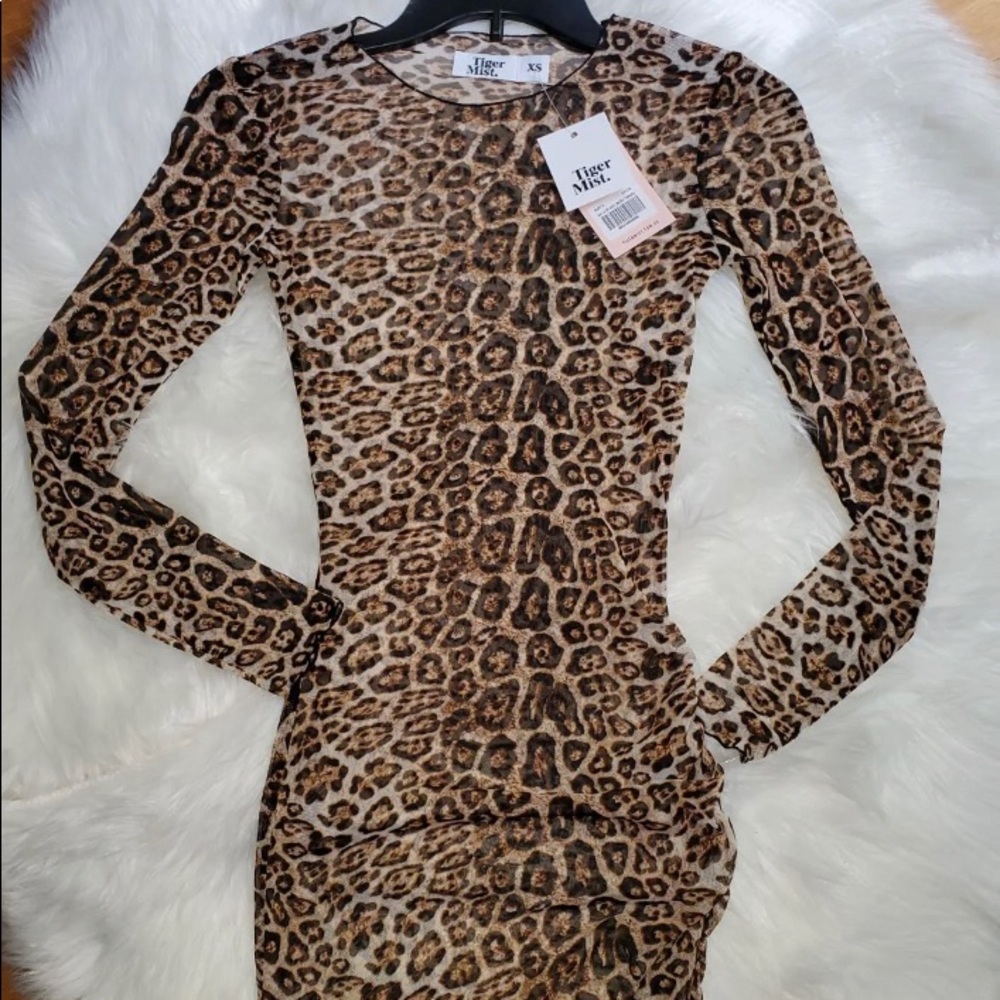 Tiger Mist Leopard Sheer Dress